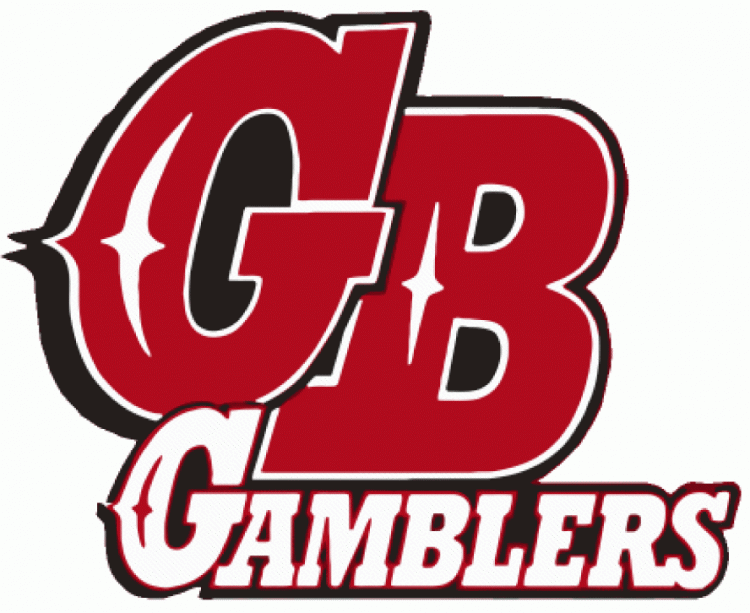 green bay gamblers 2003-2008 primary logo iron on heat transfer